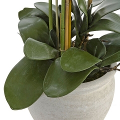 Plantas artificiales planta orquidea artificial crema 75 en lallimonacom (2)