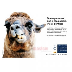Sr maslow publicidad y diseno - foto 20