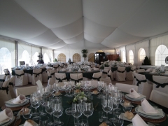 Interior carpa