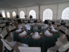 Interior carpas
