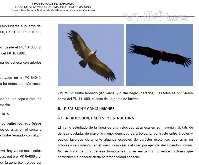 Inventario de nidificacin de aves, para lnea de alta velocidad.