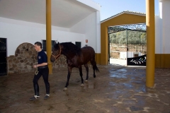Patio de cuadras