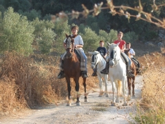 Paseos por la  via verde