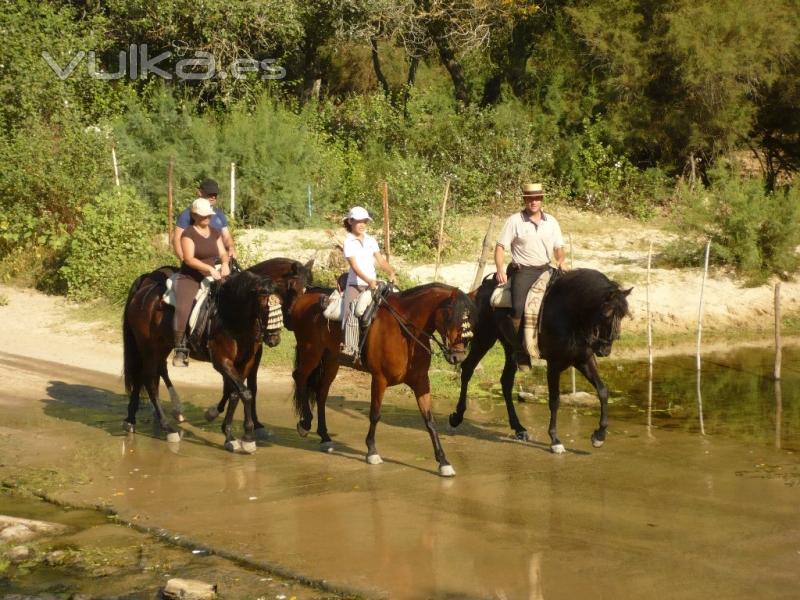 Excursión a caballo