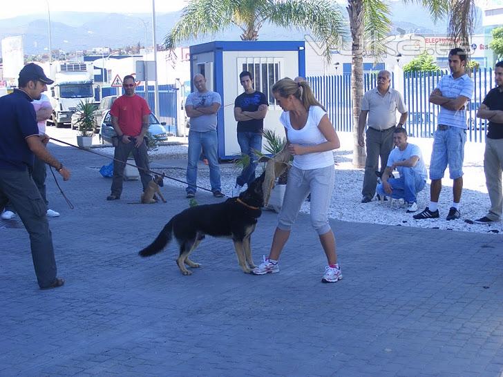 CENTRO DE FORMACION ALMANZOR