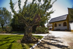 Residencia tercera edad el oasis, perteneciente al grupo carflor