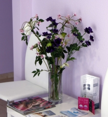 Clinica estetica dra martinez sevilla depilacion medica, nutricion y fisioterapia