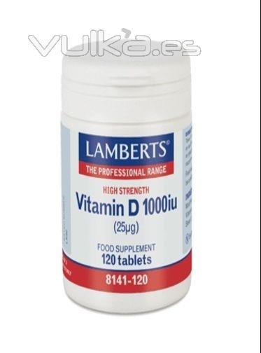 Vitamina D 1000iu LAMBERTS