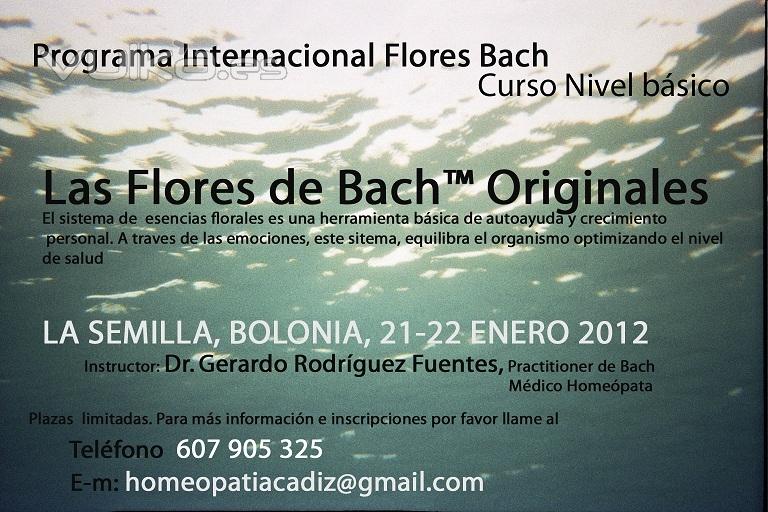 Curso flores bach Originales enero 2012