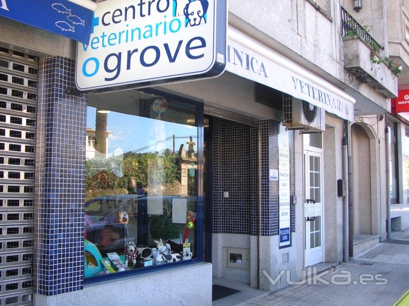 Centro Veterinario O Grove