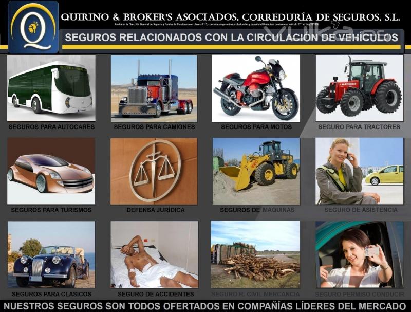 QUIRINO & BROKERS - Seguros ms populares relacionados con la circulacin, etc.