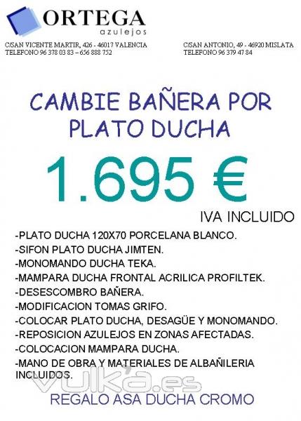 presupuesto cambio baera por plato de ducha 2