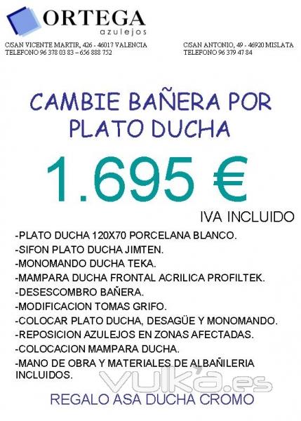 Presupuesto cambio baera por plato de ducha