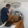 Hospital Veterinario Marina Baixa: realizando un TAC a un len marino