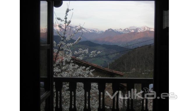 Vista desde los apartamentos