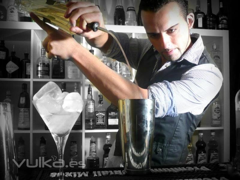 Elite Bartender