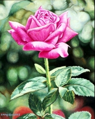 Flor, rosa i oleo sobre lienzo 27x22 cm ano 2007