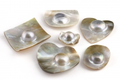 Conchas blister de gran calidad perlas tipo mabe 14eur
