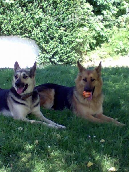 kira y su hija Dama