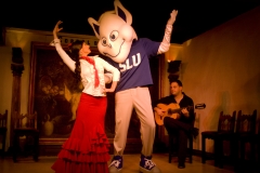The billiken polishes his flamenco moves and even gets to perform in a tablao de flamenco, where people drink and