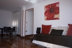 Apartamentos en Madrid por dias