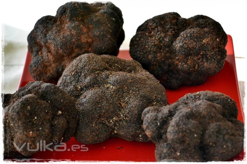 TENEMOS TRUFAS DE HASTA 265gr llamanos y conocenos