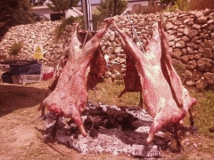 CORDEROS A LA ESTACA