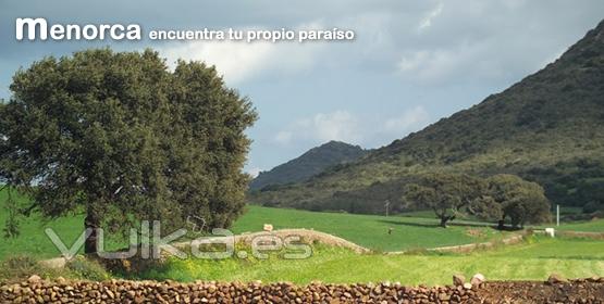 El entorno natural de Menorca, un auténtico paraíso.