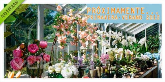 Prximamente, Nueva Coleccin Primavera-Verano 2012