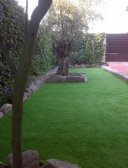 Quejardines - foto 9