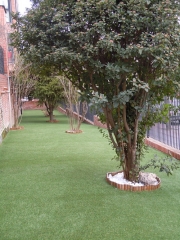 Quejardines - foto 8