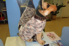 NUEVA ROPA A MEDIDA EXCLUSIVA DE PET SPA. ELEGE TALLA Y COLOR. ECONOMICA. MODELO 2