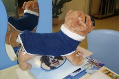 NUEVA ROPA A MEDIDA EXCLUSIVA DE PET SPA. ELEGE TALLA Y COLOR. ECONOMICA. MODELO 3