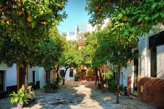 Calle santa cruz