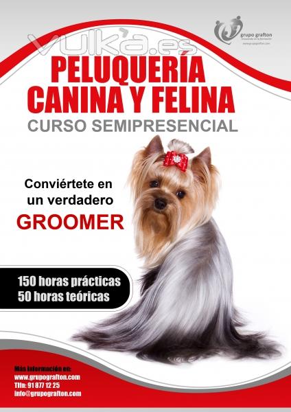 curso peluqueria canina