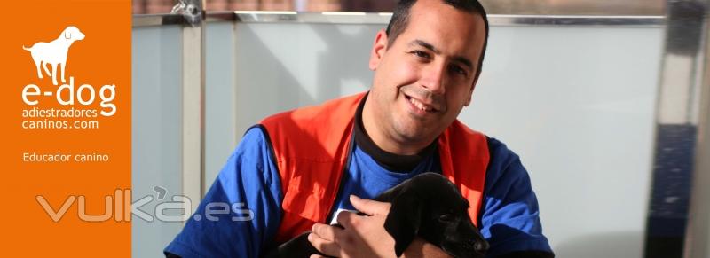 adiestrador canino en Alicante y proximidades