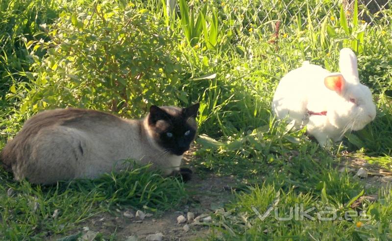 En Natuvets todos convivimos en harmona....