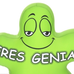 Cojin antiestres flor eres genial verde 40 en lallimonacom (2)