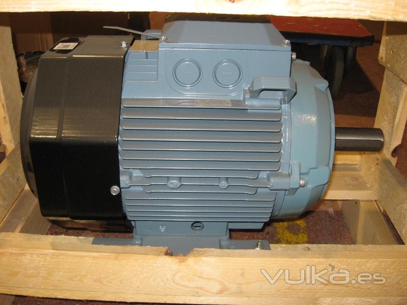 Motor ABB 15 KW. 20 CV.