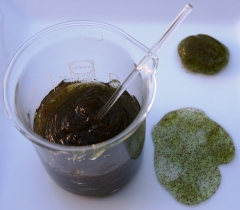 Gel peeling Aloe Vera