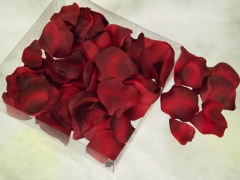 Compra tus petalos de rosa para la noche mas romantica del anoen artico!