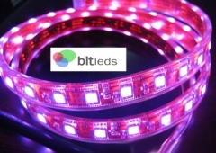 Tiras led rgb