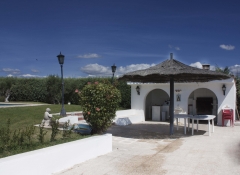 Zona bar finca en el molar