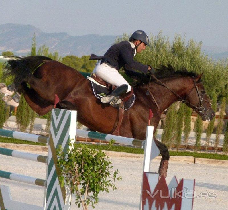 Escuela de equitacin en Murcia, escuela de hipica murcia, yeguada murcia, campeon de Espaa de salt