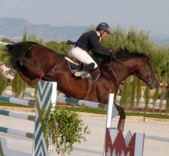 Escuela de equitacion en murcia, escuela de hipica murcia, yeguada murcia, campeon de espana de salt