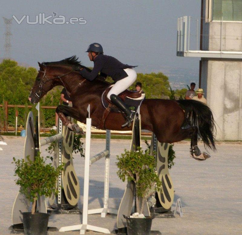 Escuela de equitacin en Murcia, escuela de hipica murcia, yeguada murcia, campeon de Espaa de salt