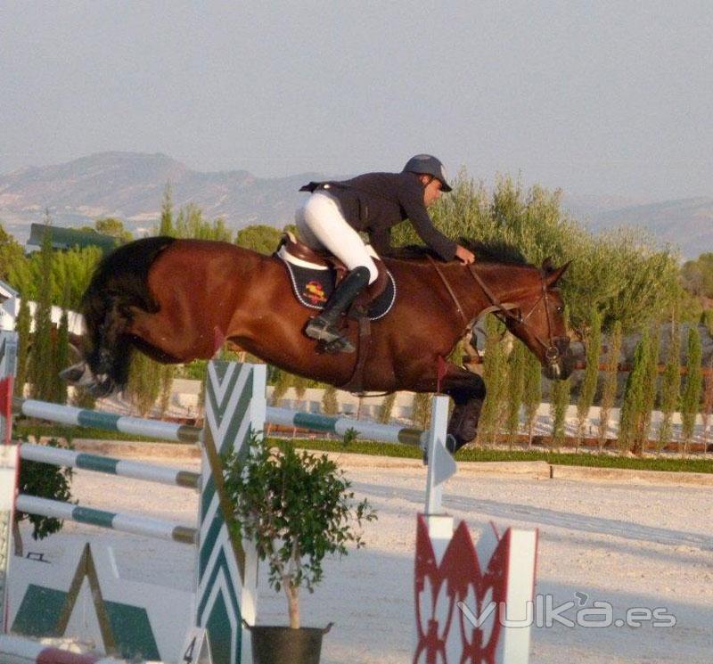 Escuela de equitacin en Murcia, escuela de hipica murcia, yeguada murcia, campeon de Espaa de salt