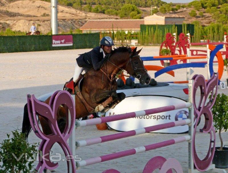 Escuela de equitacin en Murcia, escuela de hipica murcia, yeguada murcia, campeon de Espaa de salt