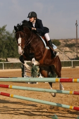 Escuela de equitacion en murcia, escuela de hipica murcia, yeguada murcia, campeon de espana de salt