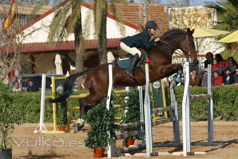 Escuela de equitacin en Murcia, escuela de hipica murcia, yeguada murcia, campeon de Espaa de salt